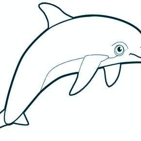 Раскраска море и Дельфины Раскраска море и Дельфины
