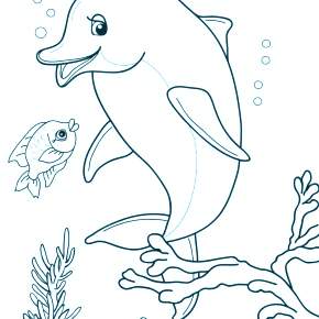 Раскраска море и Дельфины Раскраска море и Дельфины