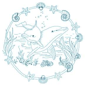 Раскраска море и Дельфины Раскраска море и Дельфины