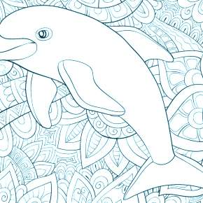 Раскраска море и Дельфины Раскраска море и Дельфины