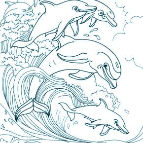 Раскраска море и Дельфины Раскраска море и Дельфины