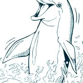 Раскраска море и Дельфины Раскраска море и Дельфины