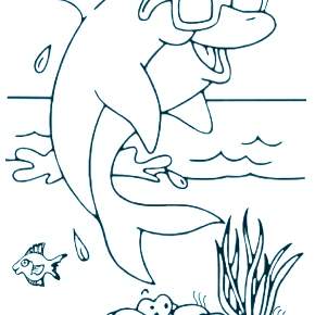 Раскраска море и Дельфины Раскраска море и Дельфины