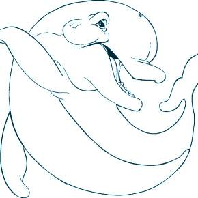 Раскраска море и Дельфины Раскраска море и Дельфины