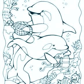 Раскраска море и Дельфины Раскраска море и Дельфины