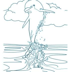 Раскраска море и Дельфины Раскраска море и Дельфины