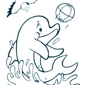 Раскраска море и Дельфины Раскраска море и Дельфины