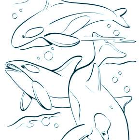 Раскраска море и Дельфины Раскраска море и Дельфины
