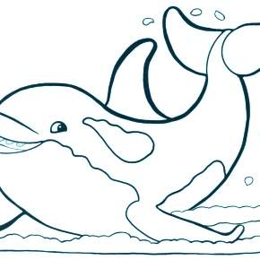 Раскраска море и Дельфины Раскраска море и Дельфины