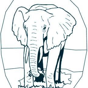Раскраска Слоны Раскраска Слоны