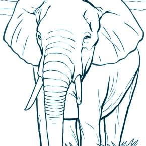Раскраска Слоны Раскраска Слоны