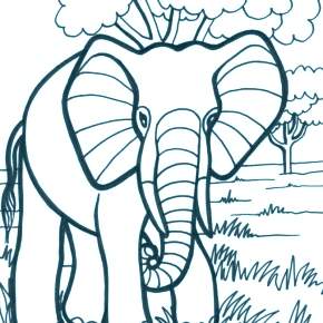Раскраска Слоны Раскраска Слоны