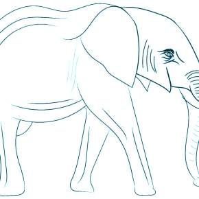 Раскраска Слоны Раскраска Слоны