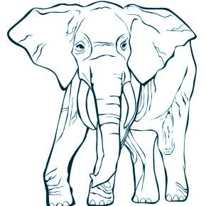 Раскраска Слоны Раскраска Слоны