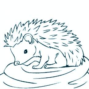 Раскраска Ежик Раскраска Ежик