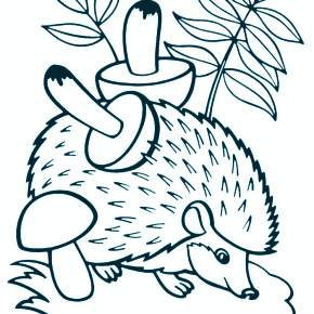 Раскраска Ежик Раскраска Ежик