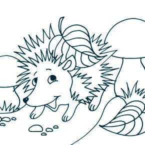 Раскраска Ежик Раскраска Ежик