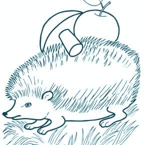 Раскраска Ежик Раскраска Ежик