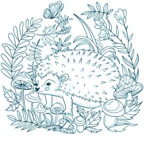 Раскраска Ежик Раскраска Ежик