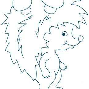 Раскраска Ежик Раскраска Ежик