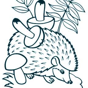 Раскраска Ежик Раскраска Ежик