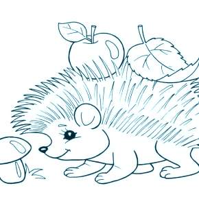 Раскраска Ежик Раскраска Ежик