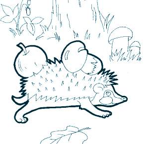 Раскраска Ежик Раскраска Ежик