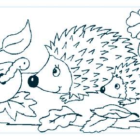 Раскраска Ежик Раскраска Ежик