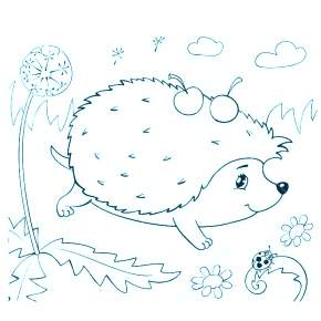 Раскраска Ежик Раскраска Ежик