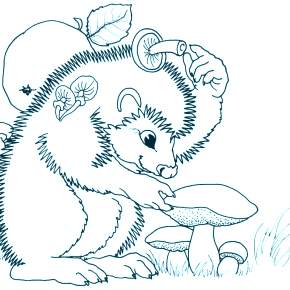 Раскраска Ежик Раскраска Ежик