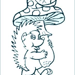 Раскраска Ежик Раскраска Ежик