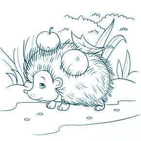 Раскраска Ежик Раскраска Ежик