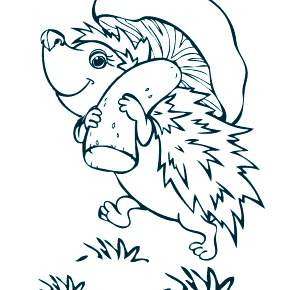 Раскраска Ежик Раскраска Ежик