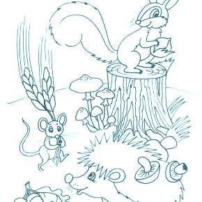 Раскраска Ежик Раскраска Ежик