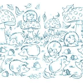 Раскраска Ежик Раскраска Ежик