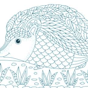 Раскраска Ежик Раскраска Ежик