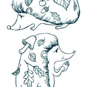 Раскраска Ежик Раскраска Ежик