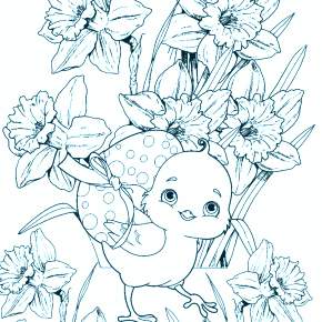 Раскраска Цыплята Раскраска Цыплята