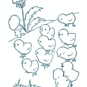 Раскраска Цыплята Раскраска Цыплята