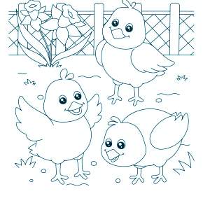 Раскраска Цыплята Раскраска Цыплята