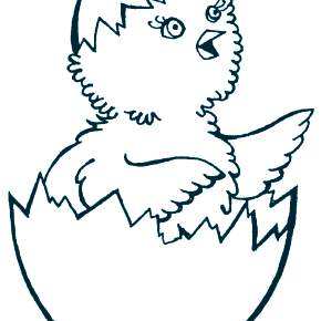 Раскраска Цыплята Раскраска Цыплята