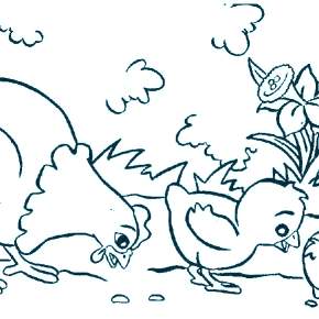 Раскраска Цыплята Раскраска Цыплята