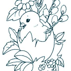 Раскраска Цыплята Раскраска Цыплята