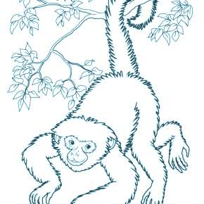 Раскраска Обезьянка
