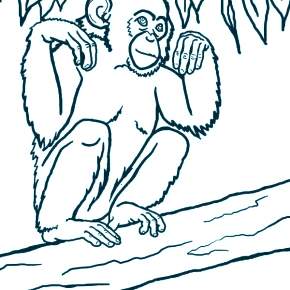 Раскраска Обезьянка