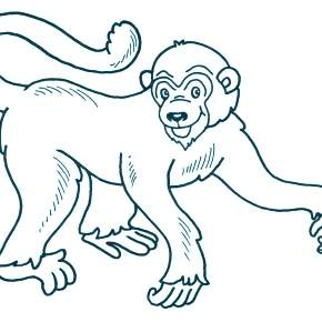 Раскраска Обезьянка