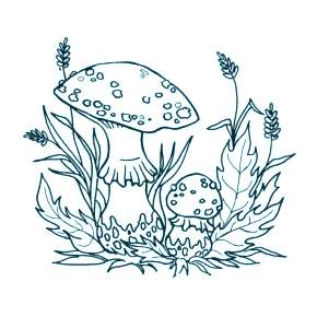 Раскраска Мухомор