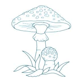 Раскраска Мухомор