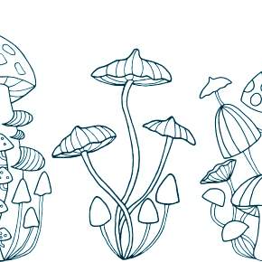 Раскраска Мухомор