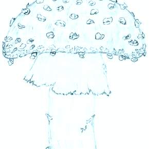 Раскраска Мухомор